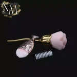 brosses-poussiere-nailmodeformations